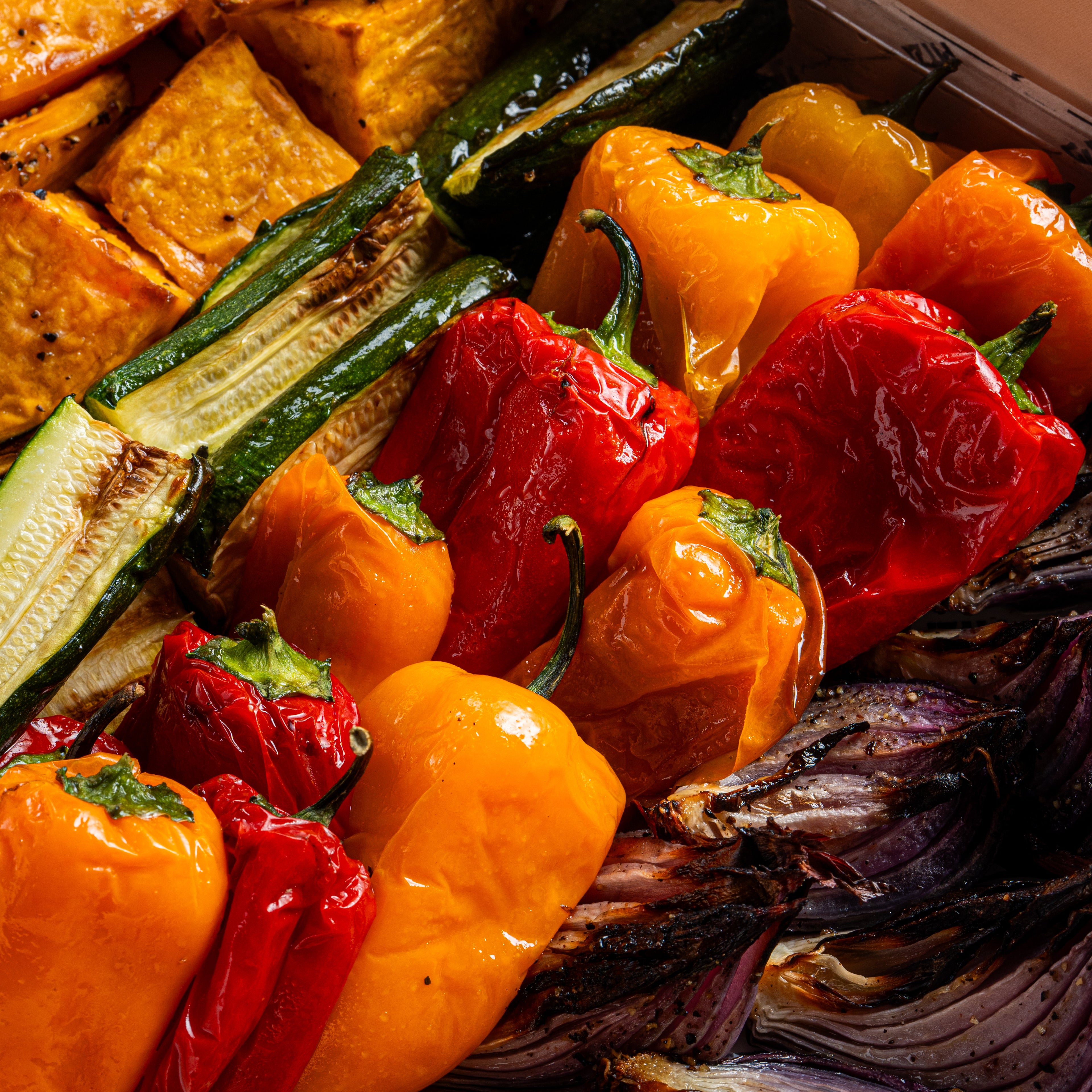 מגש אנטי פסטי